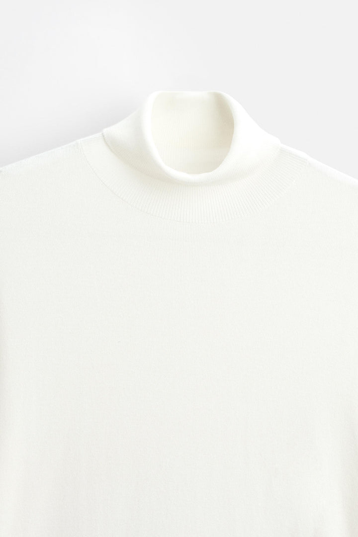 Pull Maille Col Roulé Viscose