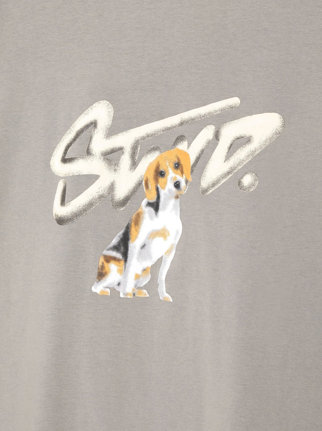 Moudda PULL & BEAR - T-Shirt Logo STWD Lavé Chien - Tunisie 2