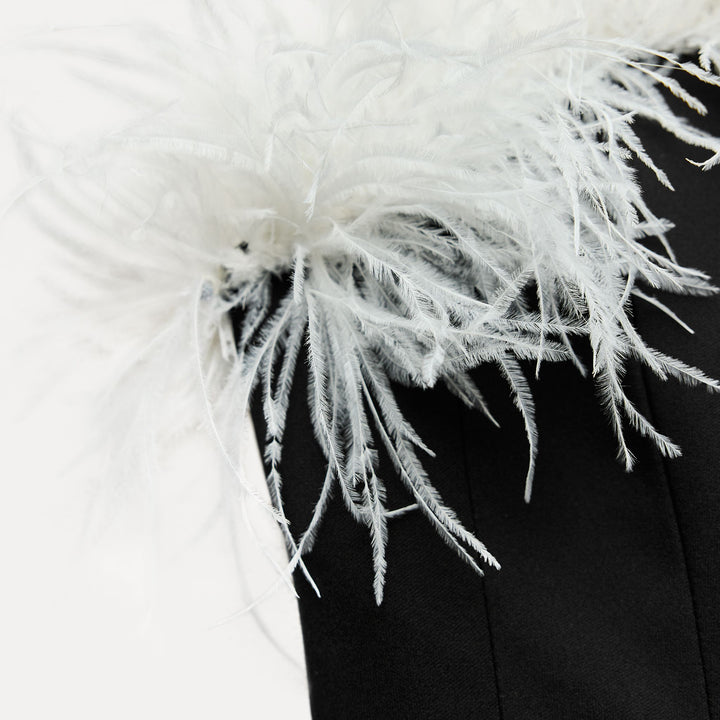 Moudda ZARA - Robe courte col bateau élastique, plumes décoratives - Tunisie 3