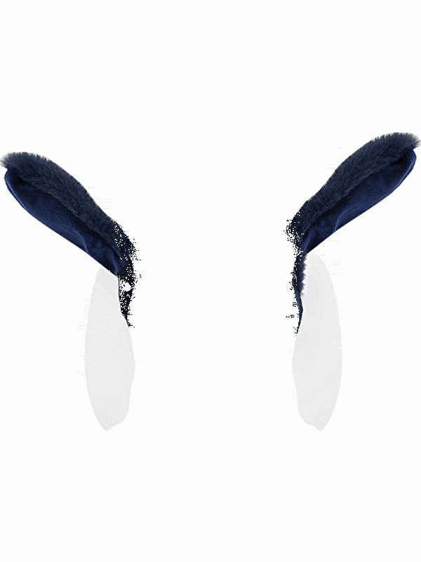 Moudda LC Waikiki - Cache-oreilles Garçon Bleu marine foncé - Tunisie 3