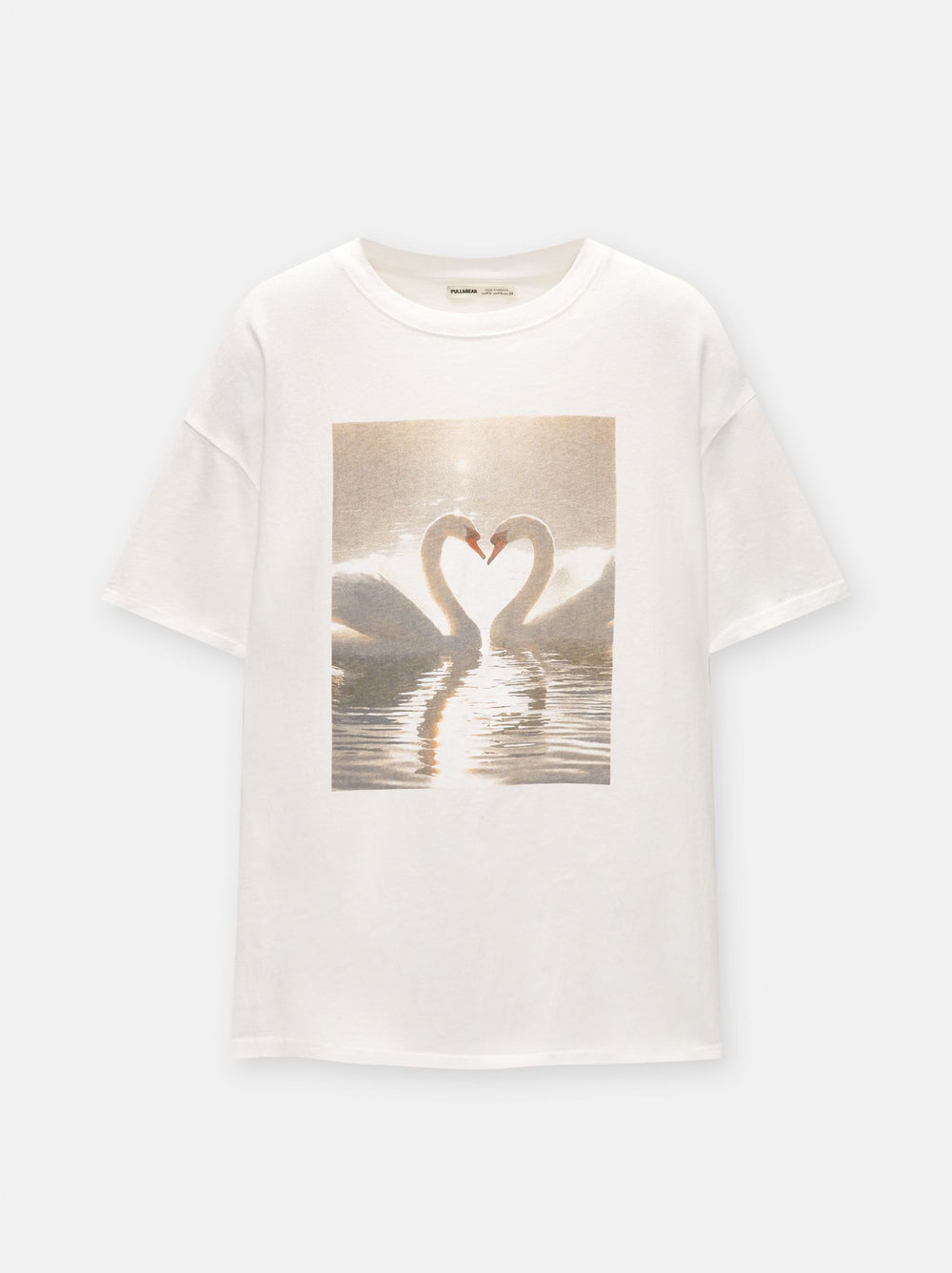 Moudda PULL & BEAR - Body Photo Cygnes - Tunisie 2