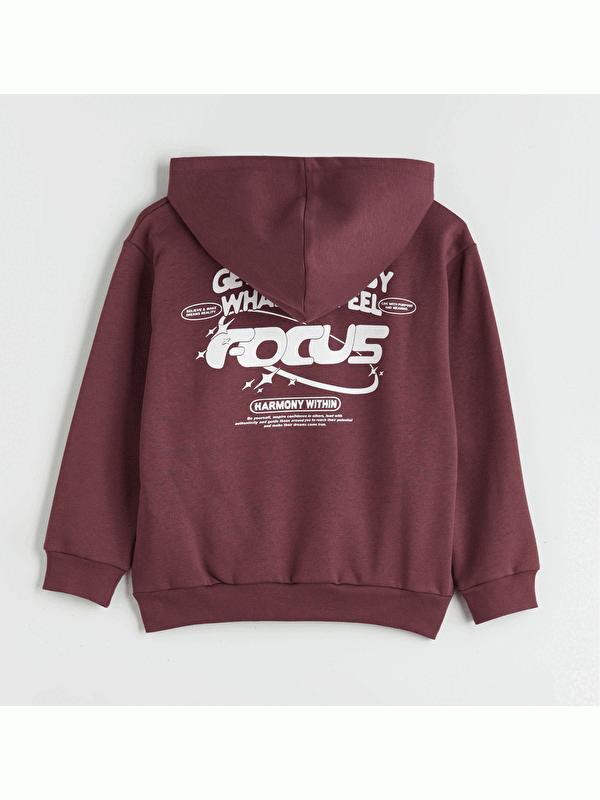 Moudda LC Waikiki - Sweatshirt en jersey Garçon Prune - Tunisie 2
