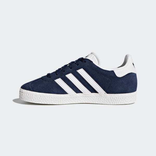 GAZELLE C